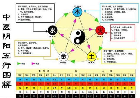 水和金 五行|五行